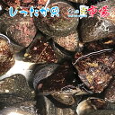 活 しったか貝 1kg シッタカ 尻高 国内産 バーベキュー...