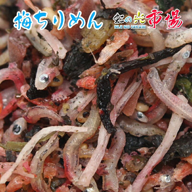 梅ちりめん 1kg ふりかけ 梅 つめあわせ 人気 生ふりかけ 小魚