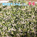 業務用 野沢菜ちりめん 1kg ちりめん ごはん おにぎり