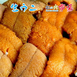 高級生ウニ 約100g 上物 うに ウニ 雲丹　ロシア産＆北海道産 2パック