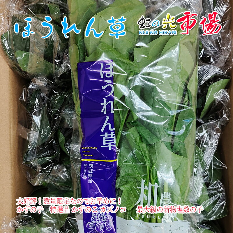 朝市場の新鮮野菜 ほうれん草 冷蔵 約200g 袋 最新な 約200g