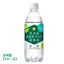 ポッカサッポロ 北海道富良野ホップ炭酸水(500ml)×24本(1ケース)PETボトル 業務用 まとめ買い 箱買い