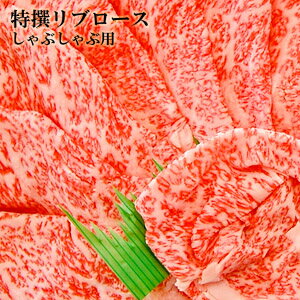 北海道から直送 びらとり和牛 A4・A5ランク くろべこ 特撰リブロース しゃぶしゃぶ用 500g 平取 ブランド和牛 北海道産 牛肉 産地直送