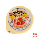 学校給食デザート ストロベリーフレッシュ 40個(1ケース)まとめ買い 箱買い ★冷凍便限定★