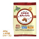 花畑牧場 北海道限定 生キャラメル 常温タイプ プレーン 40g×40袋(1ケース)業務用 まとめ買い 箱買い 北海道土産 スイーツ おやつ お菓子