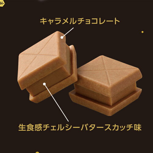 �̳�ƻ�������������륷����������륵��ɡ��Х��������å�̣��6������� ��CHELSEA �������ǥ�������ġ������ϡ��Х��������å�