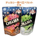チェルシー 生キャラメルガナッシュ バタースカッチ味&ヨーグルトスカッチ味 食べ比べセット 90g各1個 CHELSEA キャンディ おやつ ご当地 バタースコッチ