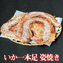 香味庵本店 せんべい 手焼きえびせん　いか一本足　姿焼き母の日 父の日 プレゼント 贈り物 プチギフト 挨拶 手土産 引っ越し