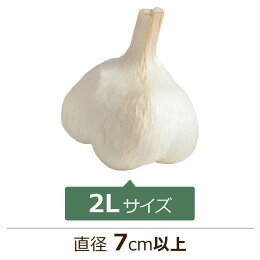 2Lサイズ直径7cm以上
