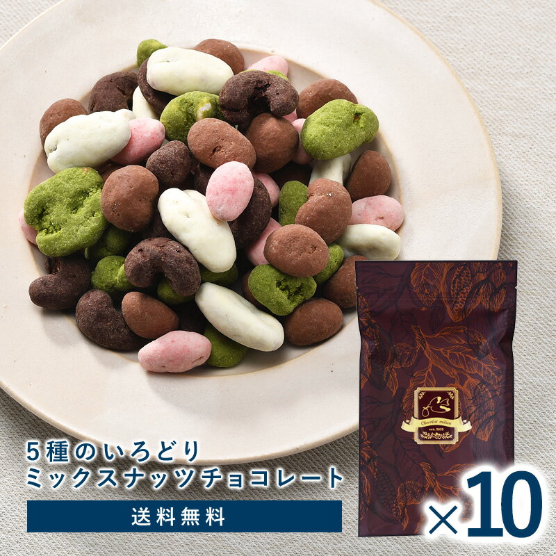 ＼1袋当り 1,000円／ミックスナッツチョコ 5種のいろどりミックスナッツチョコレート×10袋　ナッツ バレンタイン チョコ 2024 ホワイトデー ナッツチョコ【送料無料】【3～4営業日以内に出荷】チョコレート ばらまき 自分用 おしゃれ オシャレ かわいい 可愛い ギフト