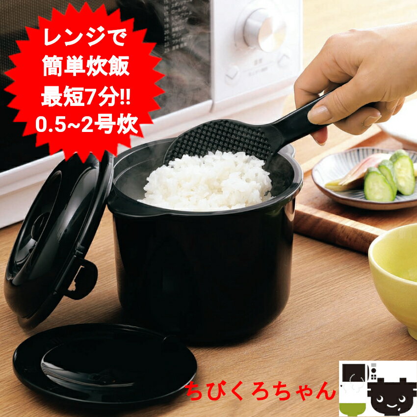 電子レンジ専用炊飯器 2合炊き 日本