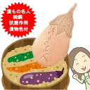漬もの名人 漬物容器に入れるだけ! 漬物の色付け 緑色野菜 ゆでもの 山菜 枝豆 煮る 保色 抗菌作用 純銅製 日本製【メール便送料無料】