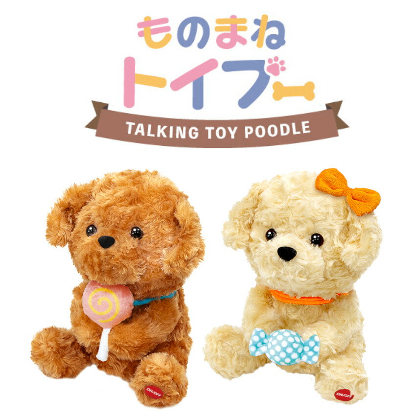 toypoo.jpg toypoo.jpg