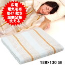 電気毛布 掛け 敷き 掛け敷き洗える かけ 洗える 広電 188×130cm 電気カーペット ダニ退治 省エネ スライド温度調節 VWK552H-D 省エネ 電...