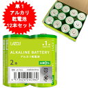 12本 単1電池 単一アルカリ乾電池 単1アルカリ電池 単1 アルカリ乾電池 単1電池 単1乾電池 単1形 乾電池 アルカリ乾電池 12本 単一 長持ちハイパワー【宅配便発送専門】