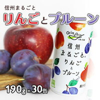 【送料込】信州まるごとりんごとプルーン190g×30本