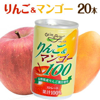 長野興農 りんご＆マンゴー100 160g × 20本
