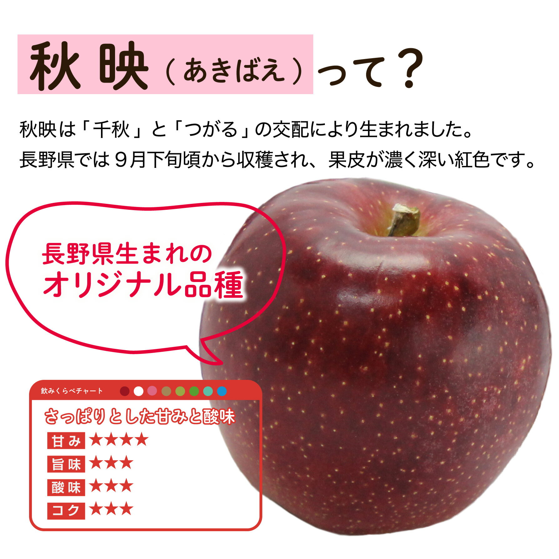 りんごジュース ストレート 100% 長野興農...の紹介画像3