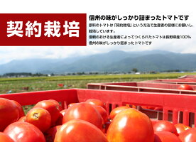 トマトジュースストレート食塩無添加・有塩選べる信州まるごとトマトジュース