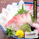 【訳あり 数量限定】超冷薫皮付きぶりロイン (腹側400g前後もしくは背側500g前後) ※腹・背はご指定できません ブリ 鰤 ロイン 刺身 スキンレス 柵 さ...