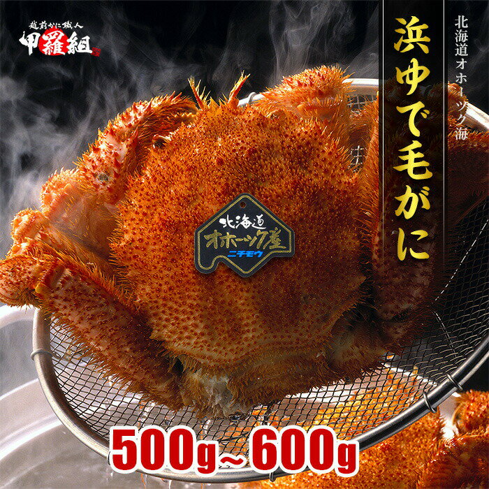 毛蟹 500g ~ 600g 姿 ボイル 冷凍 毛ガニ けがに 毛がに 冷凍食品 送料無料 お取り寄せ 蟹 かに カニ 毛かに 毛カニ 年末 年始 お正月 正月 贈答 贈り物 ギフト 北海道 お歳暮のサムネイル