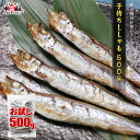 子持ち 干しししゃも 500g アイスランド産 一夜干し カラフトシシャモ 樺太 からふと 国内加工 朝食 ご飯のお供 冷凍食品