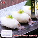 送料無料!ヤリイカ姿(8g×20枚入り) いか イカ 烏賊 イカゲソ 寿司 刺身 冷凍食品