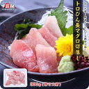 【訳あり】トロびん長マグロ切落し300g ビンチョウ まぐろ 鮪 魚 刺身 送料無料 冷凍食品