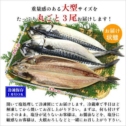 脂がしたたる肉厚とろさば一夜干し3枚入り【鯖】【さば】【サバ】【干物】【一夜干し】