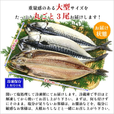 脂がしたたる肉厚とろさば一夜干し3枚入り【鯖】【さば】【サバ】【干物】【一夜干し】北海道・沖縄は追加送料756円頂戴します。