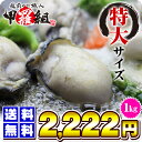 お試しタイムセール！ジャンボ広島かき1kg（解凍後850g/30粒前後2Lサイズ）送料無料 【...