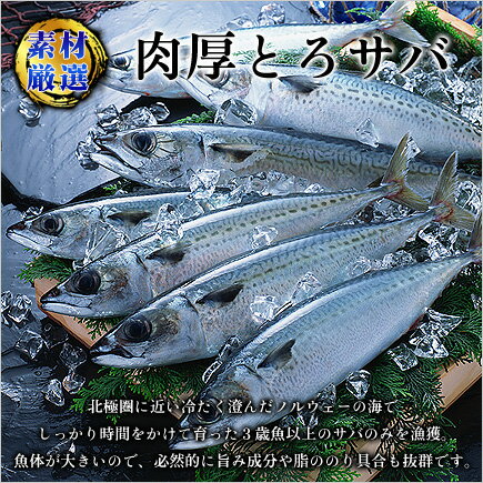 脂がしたたる肉厚とろさば一夜干し3枚入り【鯖】【さば】【サバ】【干物】【一夜干し】