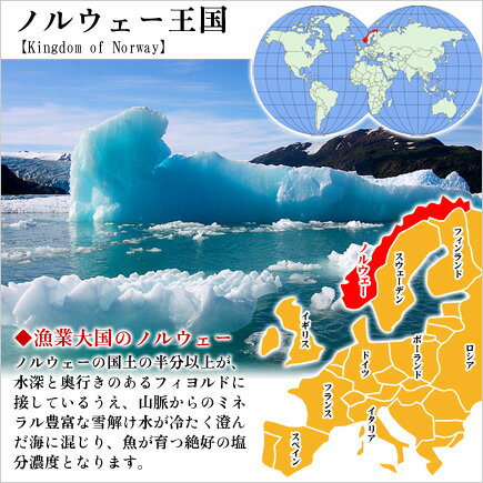 【5月1日以降の発送】脂がしたたる肉厚とろさば一夜干し特大サイズ2枚入り【鯖】【さば】【サバ】【干物】【一夜干し】【20】