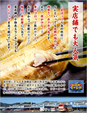 【実店舗でも大人気!】グリルからはみ出る!食べ応え抜群の特大&肉厚しまホッケ一夜干し×2枚入り【ほっけ】【シマ】【干物】【一夜干し】【しま】