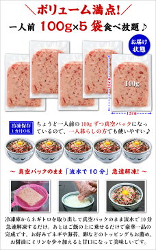 個包装で使い易い♪天然まぐろ使用！とろける極上ねぎとろ500g（一人前100g×5袋入り）※北海道・沖縄県へのお届けは別途756円頂戴します【ネギトロ】【ねぎとろ】【まぐろたたき】【マグロタタキ】【鮪ユッケ】