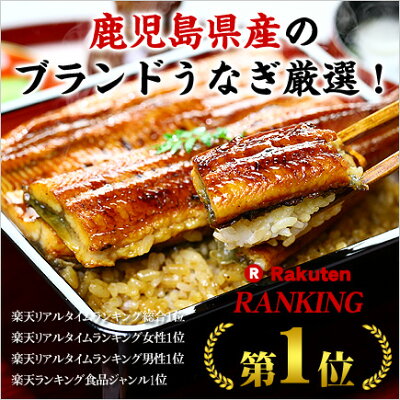 お得な業務用【鹿児島県産】特大うなぎ蒲焼(約200g前後)×5尾入り※タレ&山椒付き(無地段ボール簡易包装)