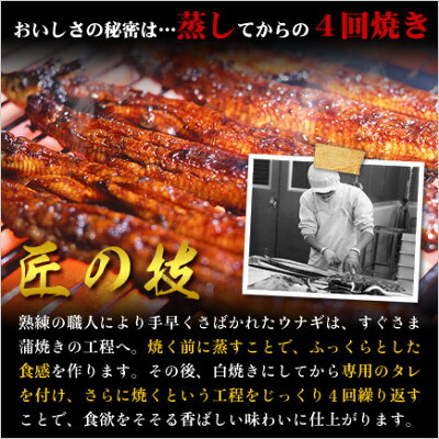 \半額タイムセール!/【鹿児島県産】特大うなぎ蒲焼きどっさり1kg(200g前後×5尾入り)食べ放題♪タレ&山椒×10袋付き【うなぎ】【ウナギ】【鰻】