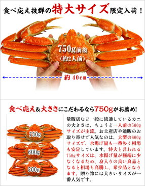 希少な特大サイズを厳選！ボイルずわいがに姿1.5kg（750g前後×2ハイ）※食べ方の説明書同封［送料無料］【カニ】【かに】【蟹】