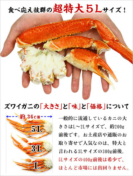 切れ目入り超特大バルダイ種ボイルずわいがに足2kg（5Lサイズ/4-5肩入り）送料無料【カニ】【かに】【蟹】【オオズワイガニ】