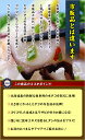 北海道の水ダコで作った贅沢たこわさび200g【タコわさび】【タコワサビ】【たこワサビ】 3