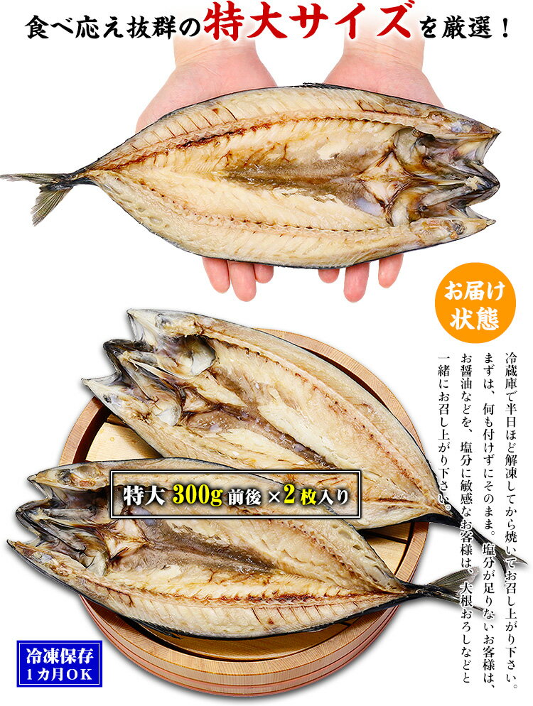 脂がしたたる肉厚とろさば一夜干し特大サイズ2枚入り送料無料【鯖】【さば】【サバ】【干物】【一夜干し】