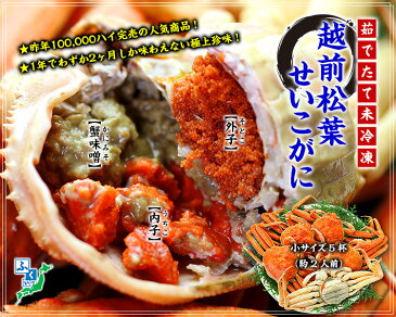 数量限定★早割り1,500円OFF!更に2セットで1,000円OFFクーポンあり!【ご予約販売】日本海の冬の極上珍味を茹でたて未冷凍で産地直送!【同梱不可】【着日指定不可】越前松葉せいこ蟹(小サイズ×5杯入り)約2人前