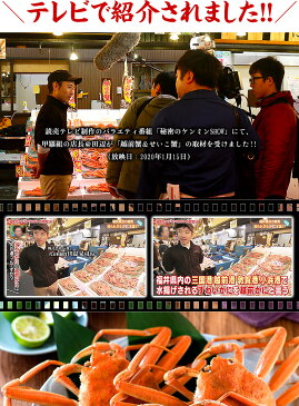 TVで紹介!【浜茹で急速冷凍】越前/松葉せいこがに(小〜中サイズ×8尾入り)【セイコガニ】【セコガニ】【香箱】【コッペ】【越前蟹】【越前がに】【越前ガニ】【越前かに】 伝食 甲羅組 秘密のケンミンショー