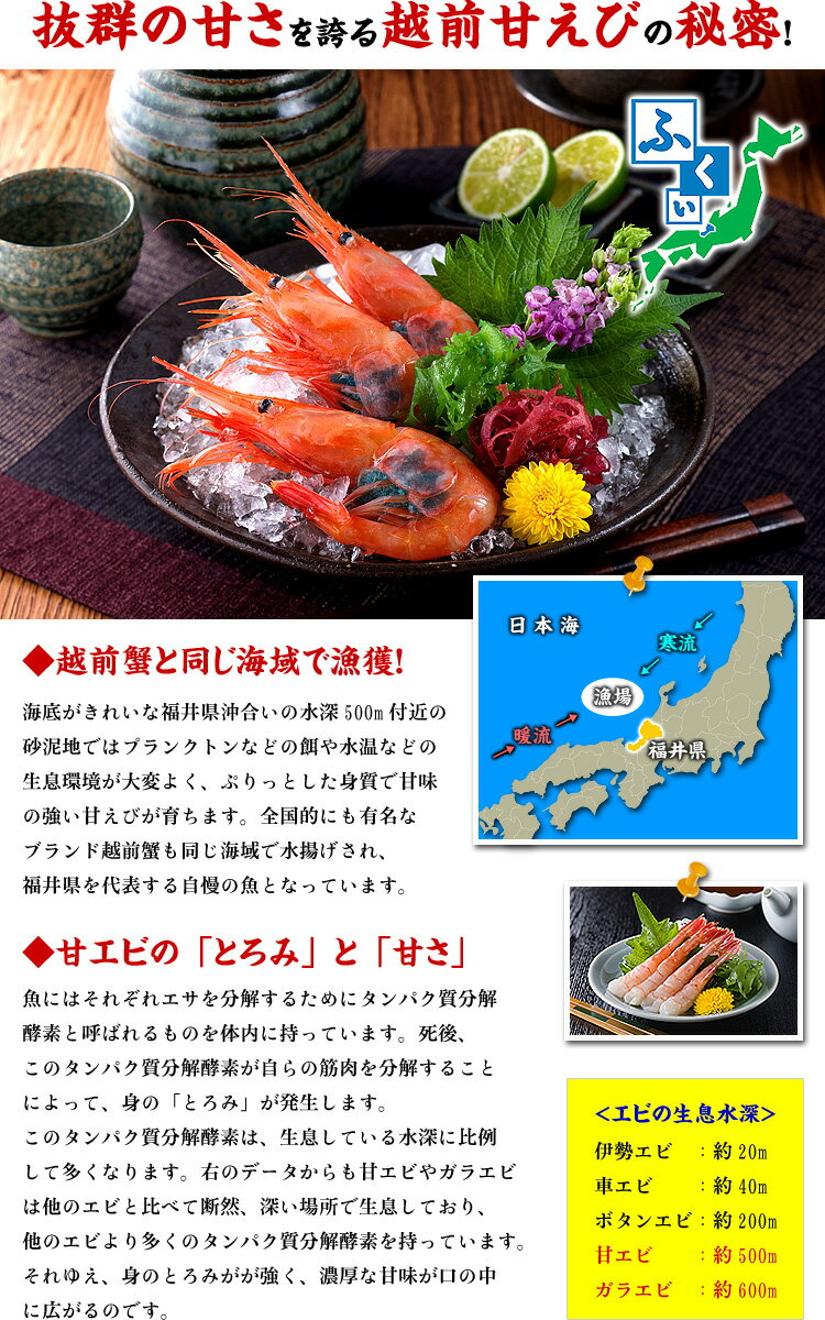 送料無料1,000円ぽっきり！更に2個で300円OFF！3個で750円OFF！5個で1,500円OFFクーポンあり！お寿司屋さん御用達！日本海の越前甘えび刺身用むき身100g（小サイズ約40尾前後）※手むき加工のため殻やヒゲ混入する場合があります。