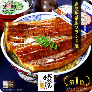 父の日 ギフト プレゼント 鹿児島 ブランド うなぎ 大型 送料無料 2,999円!更に2尾で600円OFF!4尾で2,000円OFF!5尾で3,000円OFFクーポンあり! うなぎ ウナギ 鰻