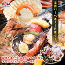 送料無料4,999円！海鮮 バーベキュー BBQ 送料無料 エビ ホタテ イカ マグロ サザエ