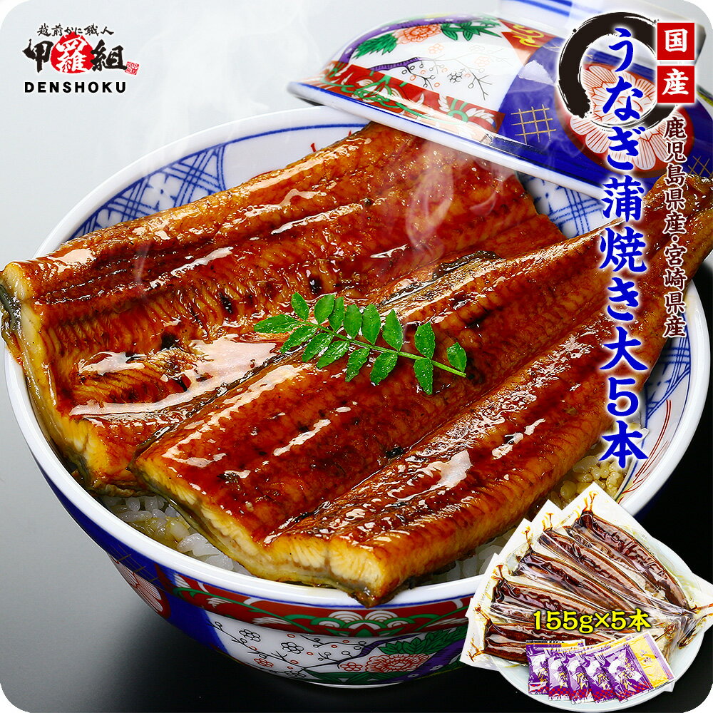 父の日 丑の日 圧巻の大ボリューム！送料無料11,880円！国産うなぎ蒲焼き大サイズ155g×5本入り(10人前)※タレ＆山椒付き