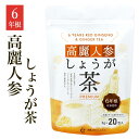 楽天高麗人参ウェルネス　楽天市場店【新商品】【クーポン対象】高麗人参しょうが茶 PREMIUM（3g×20包）／生姜湯 ジンジャーティー 高麗紅参茶 高麗人参茶 しょうが茶 生姜茶 紅参茶 人参茶 サポニン ginseng