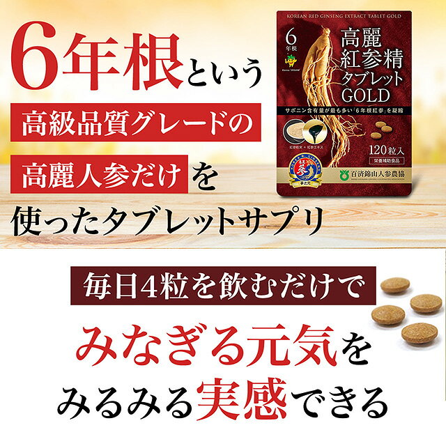 【超得！6袋セット】【クーポン対象】 高麗人参サプリ 6年根・高麗紅参精タブレットGOLD(120粒)まとめ買い ginseng supplement(朝鮮人参 高麗人参エキス 紅人参 紅参 コウジン 御種人参 サポニン) 3