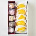 【季節限定】湘南ゴールドゼリー5個+花元町5個入 セット